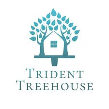 Accounting Staff Consultant